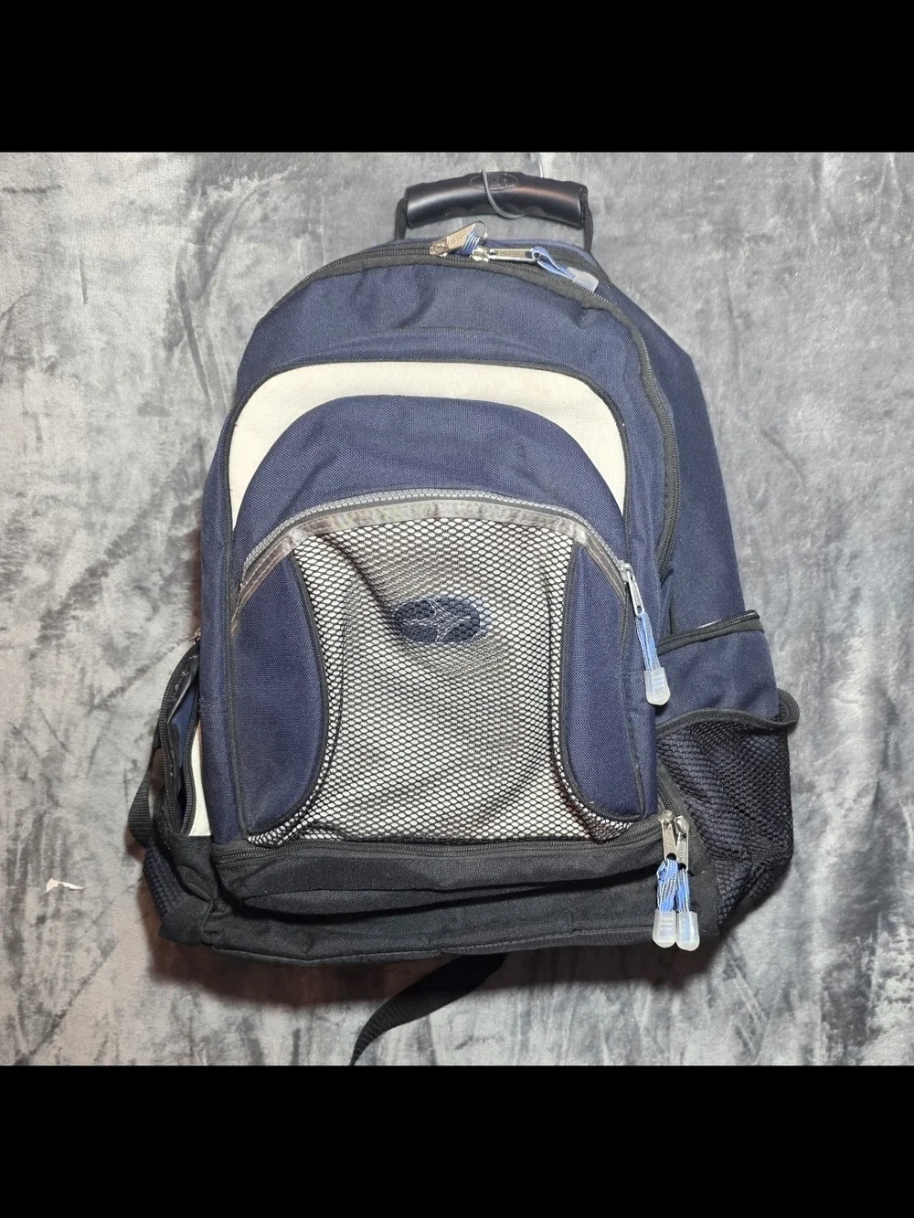 Vintage Eastsport Blue Multi-compartment Backpack